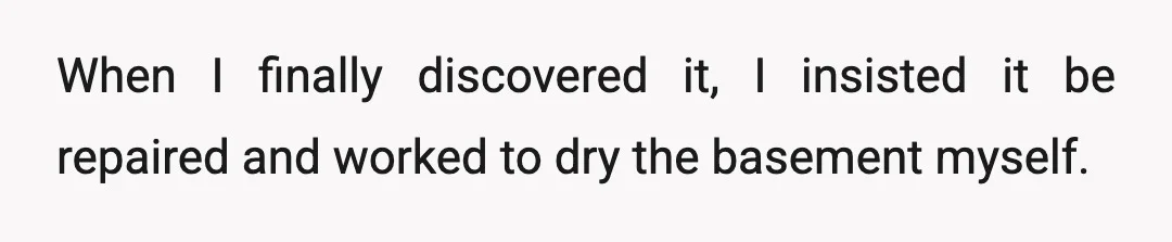 When I finally discovered it, I insisted it be repaired and worked to dry the basement myself.
