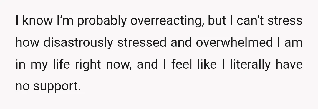 I know I’m probably overreacting, but I can’t stress how disastrously stressed and overwhelmed I am in my life right now, and I feel like I literally have no support.