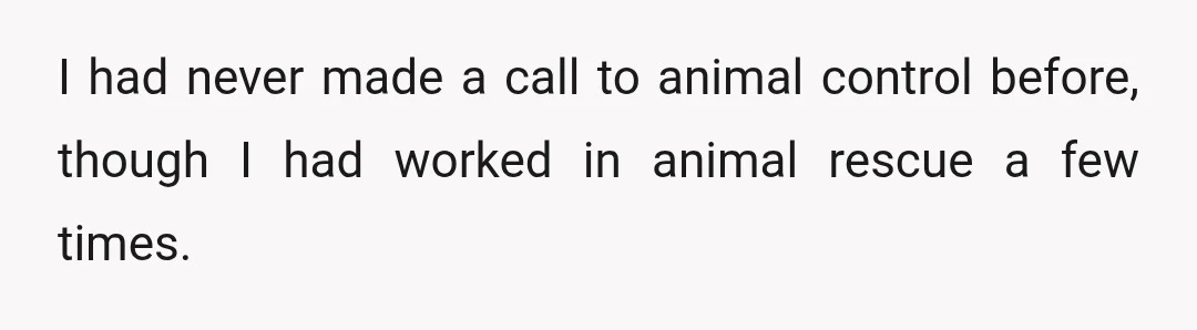 I had never made a call to animal control before, though I had worked in animal rescue a few times.