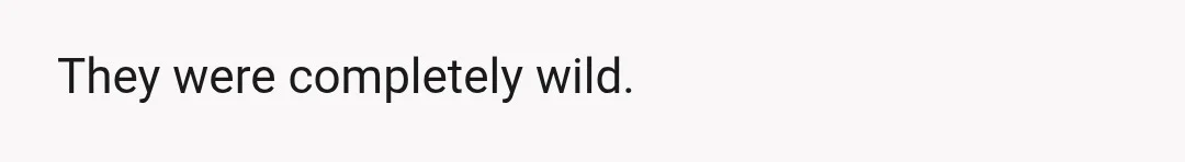 They were completely wild.