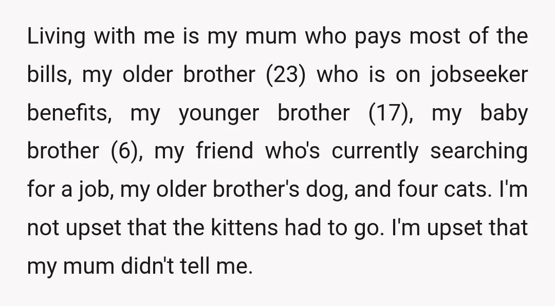 Living with me is my mum who pays most of the bills, my older brother (23) who is on jobseeker benefits, my younger brother (17), my baby brother (6), my...