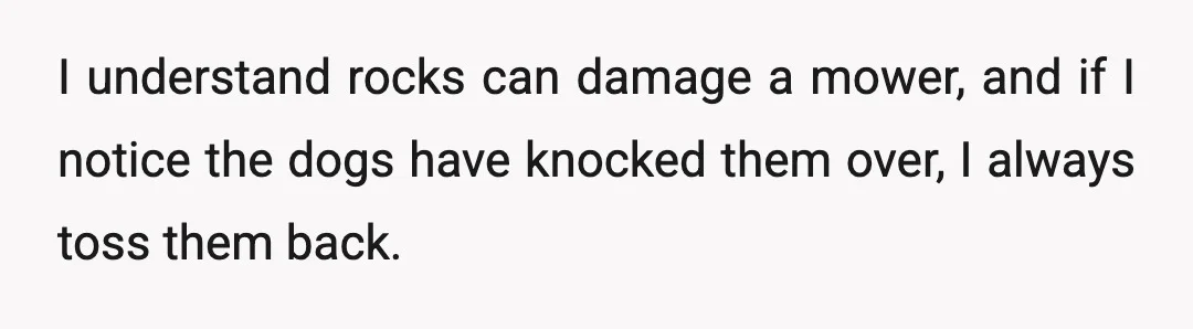 I understand rocks can damage a mower, and if I notice the dogs have knocked them over, I always toss them back.