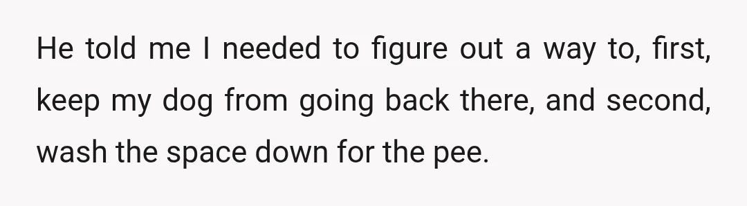He told me I needed to figure out a way to, first, keep my dog from going back there, and second, wash the space down for the pee.