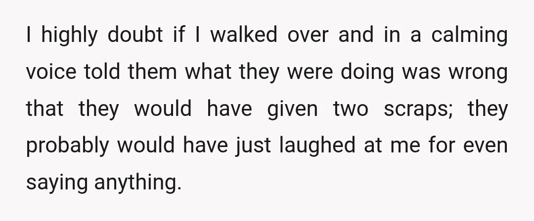I highly doubt if I walked over and in a calming voice told them what they were doing was wrong that they would have given two scraps; they probably would...