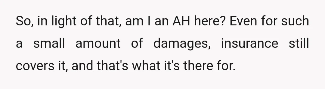 So, in light of that, am I an AH here? Even for such a small amount of damages, insurance still covers it, and that's what it's there for.