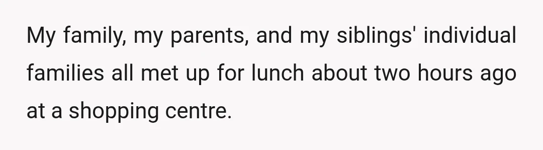 My family, my parents, and my siblings' individual families all met up for lunch about two hours ago at a shopping centre.