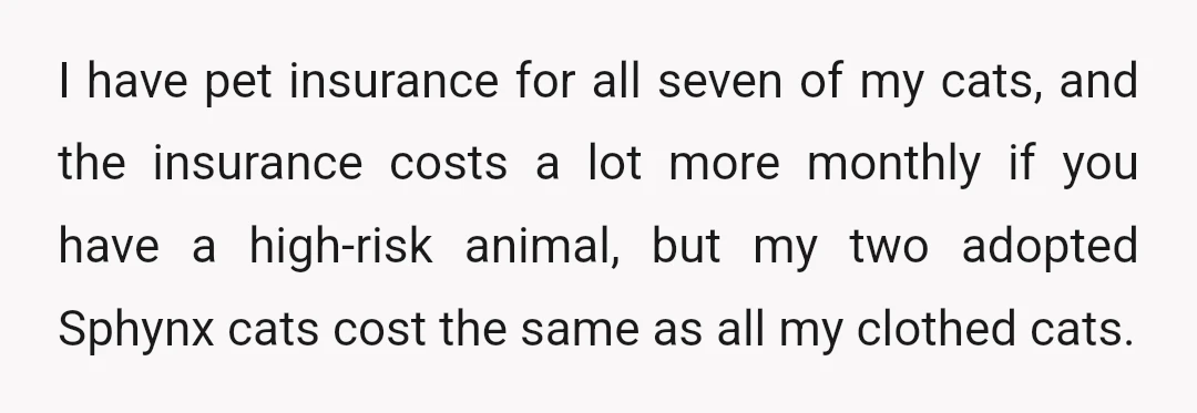 Now, I don't have a degree in genetics, but I'm very aware of all of my cats' health and potential health issues.