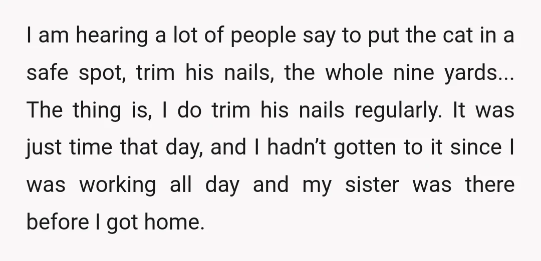 I am hearing a lot of people say to put the cat in a safe spot, trim his nails, the whole nine yards... The thing is, I do trim his...