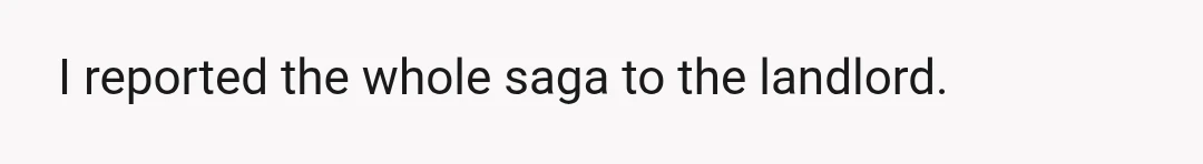 I reported the whole saga to the landlord.