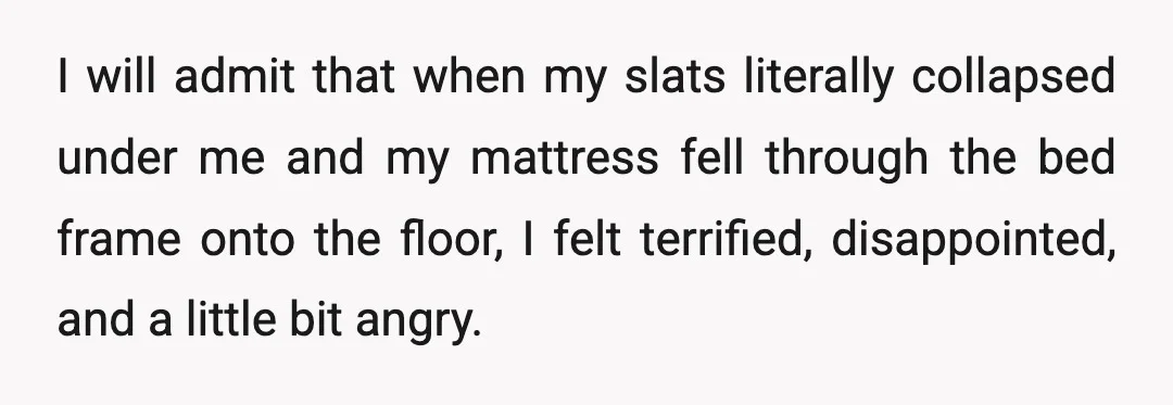 I will admit that when my slats literally collapsed under me and my mattress fell through the bed frame onto the floor, I felt terrified, disappointed, and a little bit...