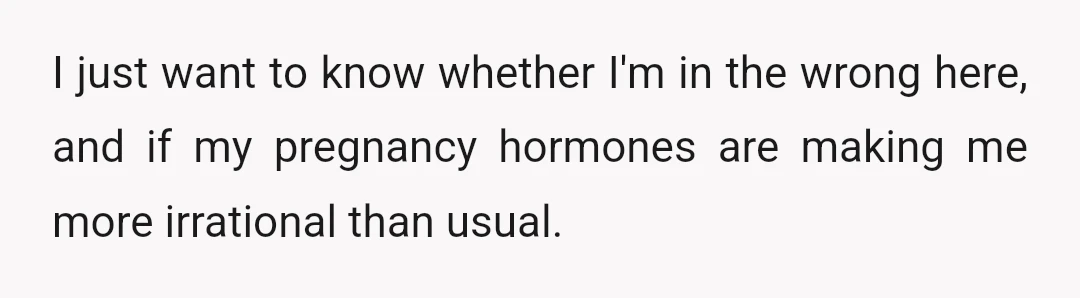 I just want to know whether I'm in the wrong here, and if my pregnancy hormones are making me more irrational than usual.