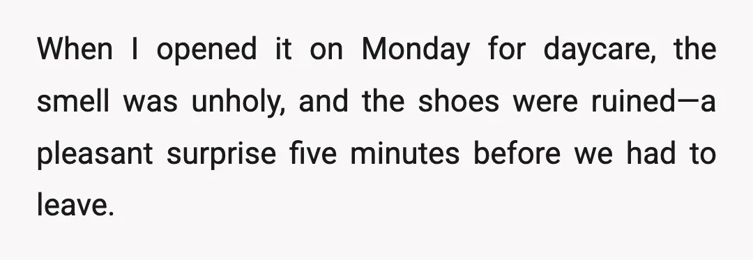 When I opened it on Monday for daycare, the smell was unholy, and the shoes were ruined—a pleasant surprise five minutes before we had to leave.
