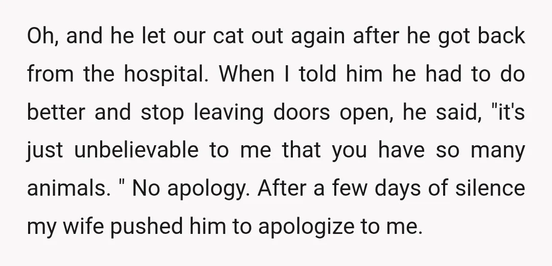 Oh, and he let our cat out again after he got back from the hospital. When I told him he had to do better and stop leaving doors open, he...