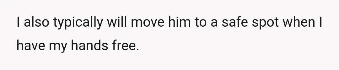 I also typically will move him to a safe spot when I have my hands free.