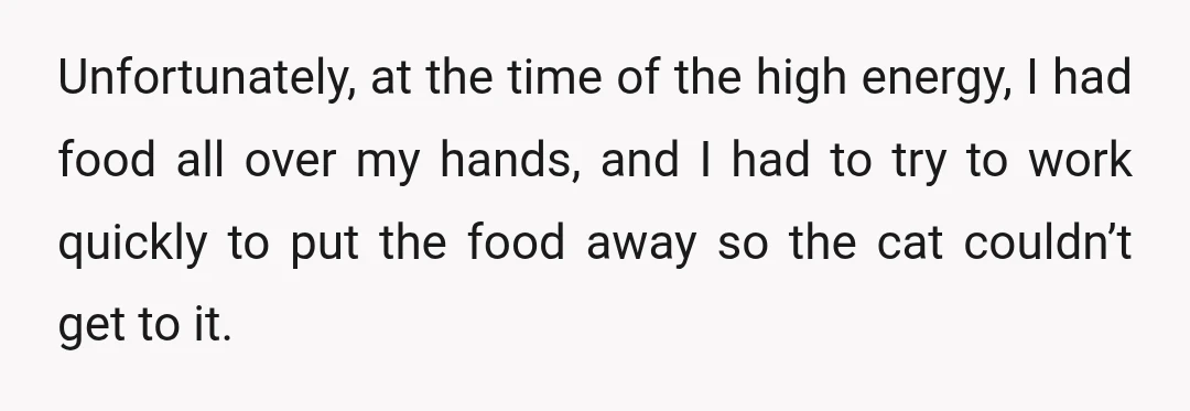 Unfortunately, at the time of the high energy, I had food all over my hands, and I had to try to work quickly to put the food away so the...