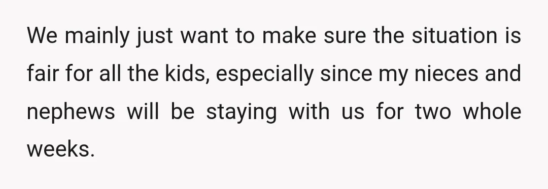 We mainly just want to make sure the situation is fair for all the kids, especially since my nieces and nephews will be staying with us for two whole weeks.
