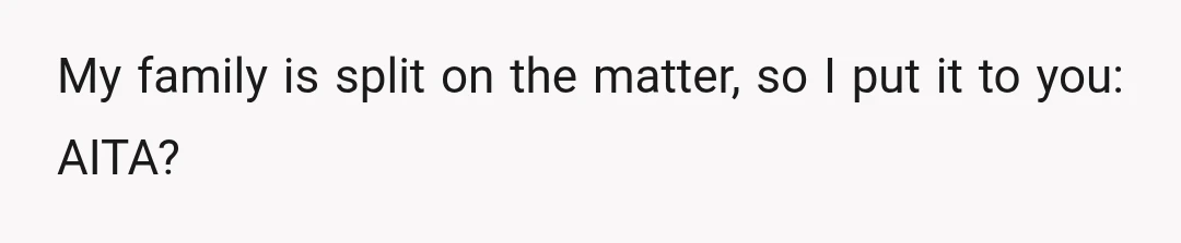 My family is split on the matter, so I put it to you: AITA?