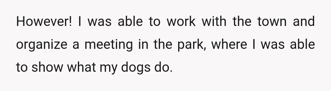 However! I was able to work with the town and organize a meeting in the park, where I was able to show what my dogs do.