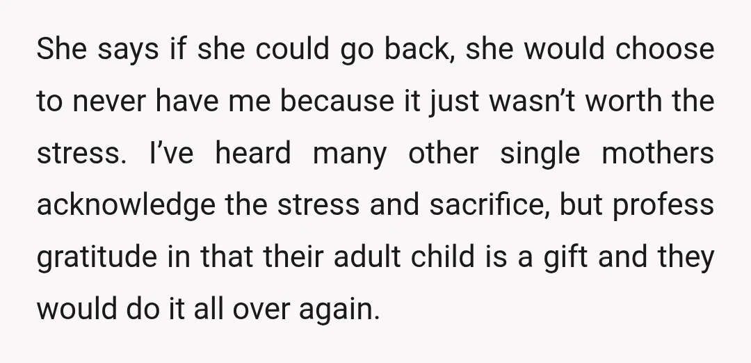 She says if she could go back, she would choose to never have me because it just wasn’t worth the stress. I’ve heard many other single mothers acknowledge the stress...