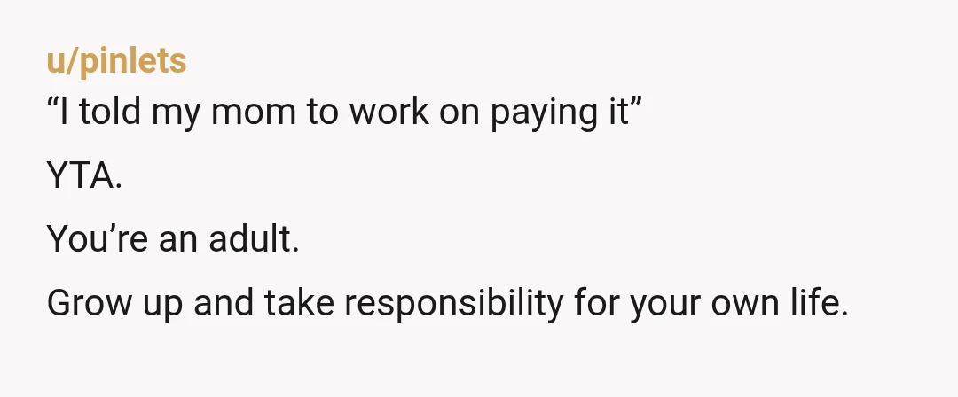u/pinlets
“I told my mom to work on paying it”
YTA.
You’re an adult.
Grow up and take responsibility for your own life.