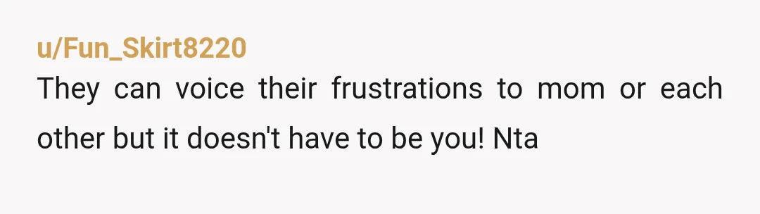u/Fun_Skirt8220
They can voice their frustrations to mom or each other but it doesn't have to be you!  Nta