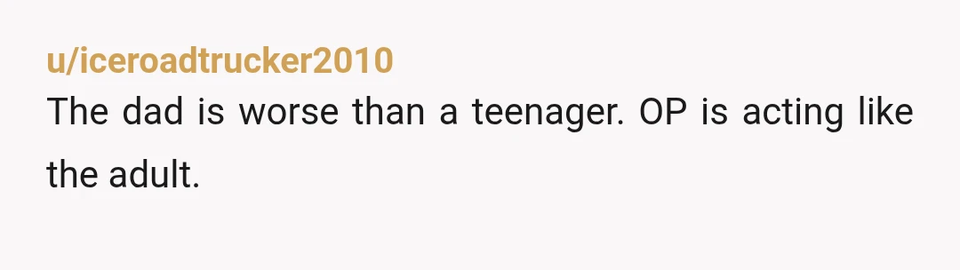 u/iceroadtrucker2010
The dad is worse than a teenager. OP is acting like the adult.