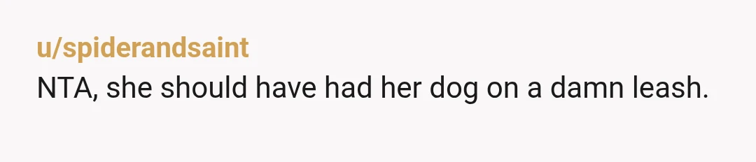 u/spiderandsaint
NTA, she should have had her dog on a damn leash.