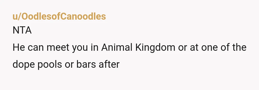 u/OodlesofCanoodles
NTA
He can meet you in Animal Kingdom or at one of the dope pools or bars afterÂ