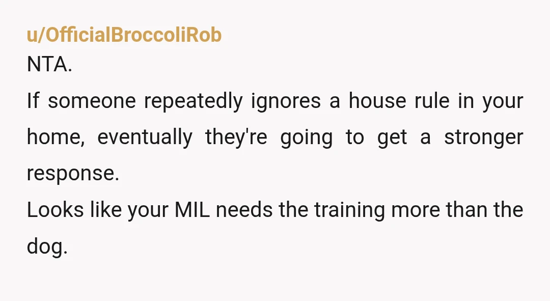 u/OfficialBroccoliRob NTA. If someone repeatedly ignores a house rule in your home, eventually they're going to get a stronger response. Looks like your MIL needs the training more than the...