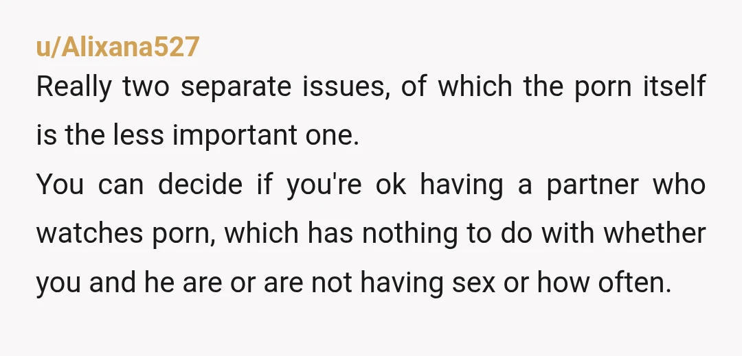 u/Alixana527 Really two separate issues, of which the porn itself is the less important one. You can decide if you're ok having a partner who watches porn, which has nothing...