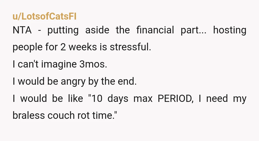 u/LotsofCatsFI NTA - putting aside the financial part... hosting people for 2 weeks is stressful. I can't imagine 3mos. I would be angry by the end. I would be like...