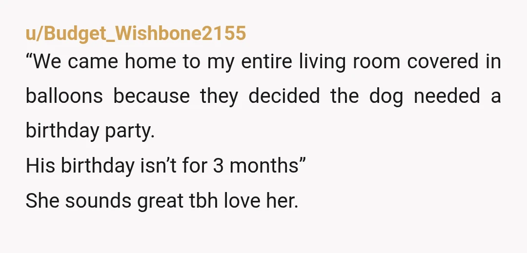 u/Budget_Wishbone2155 “We came home to my entire living room covered in balloons because they decided the dog needed a birthday party. His birthday isn’t for 3 months” She sounds great...