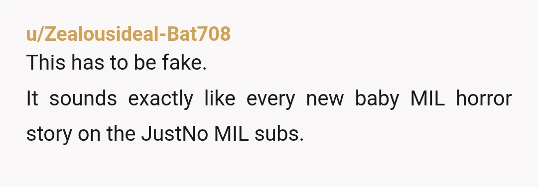 u/Zealousideal-Bat708
This has to be fake.
It sounds exactly like every new baby MIL horror story on the JustNo MIL subs.