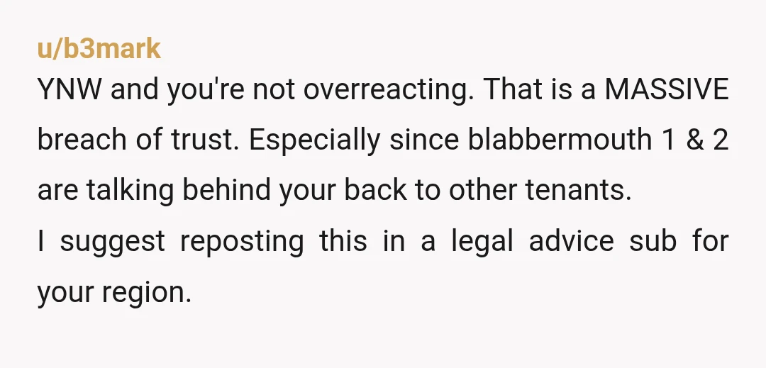 u/b3mark YNW and you're not overreacting. That is a MASSIVE breach of trust. Especially since blabbermouth 1 & 2 are talking behind your back to other tenants. I suggest reposting...