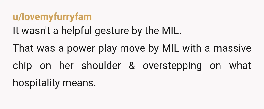 u/lovemyfurryfam
It wasn't a helpful gesture by the MIL.
That was a power play move by MIL with a massive chip on her shoulder & overstepping on what hospitality means.
