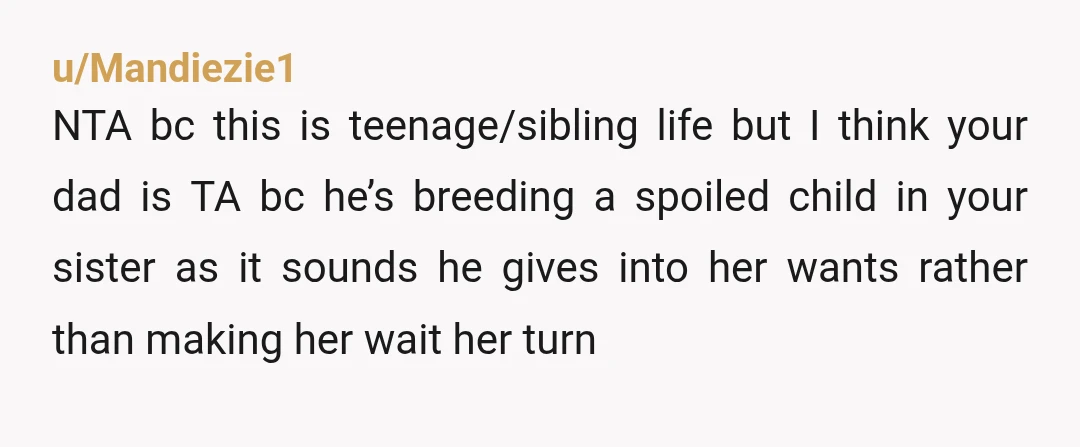 u/Mandiezie1 NTA bc this is teenage/sibling life but I think your dad is TA bc he’s breeding a spoiled child in your sister as it sounds he gives into her...