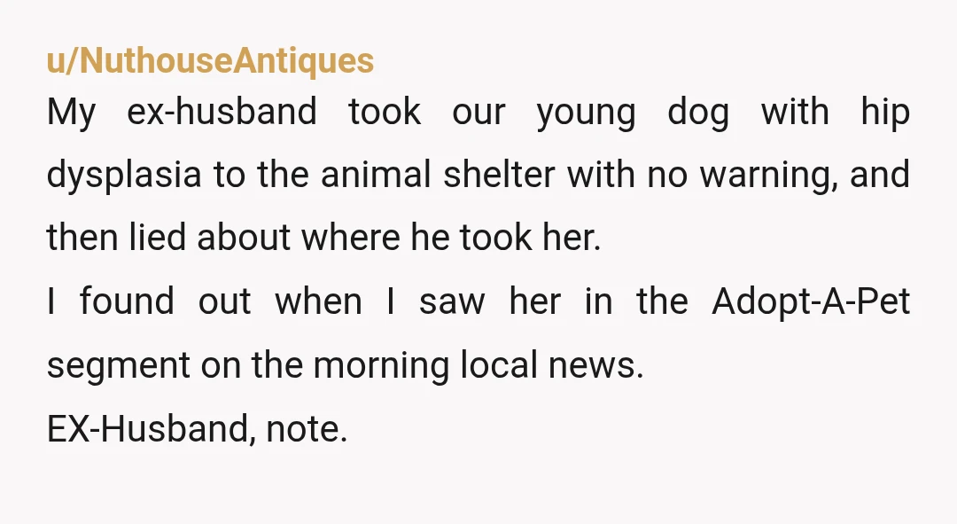 u/NuthouseAntiques My ex-husband took our young dog with hip dysplasia to the animal shelter with no warning, and then lied about where he took her. I found out when I...
