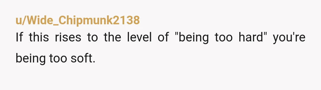 u/Wide_Chipmunk2138
If this rises to the level of "being too hard" you're being too soft.