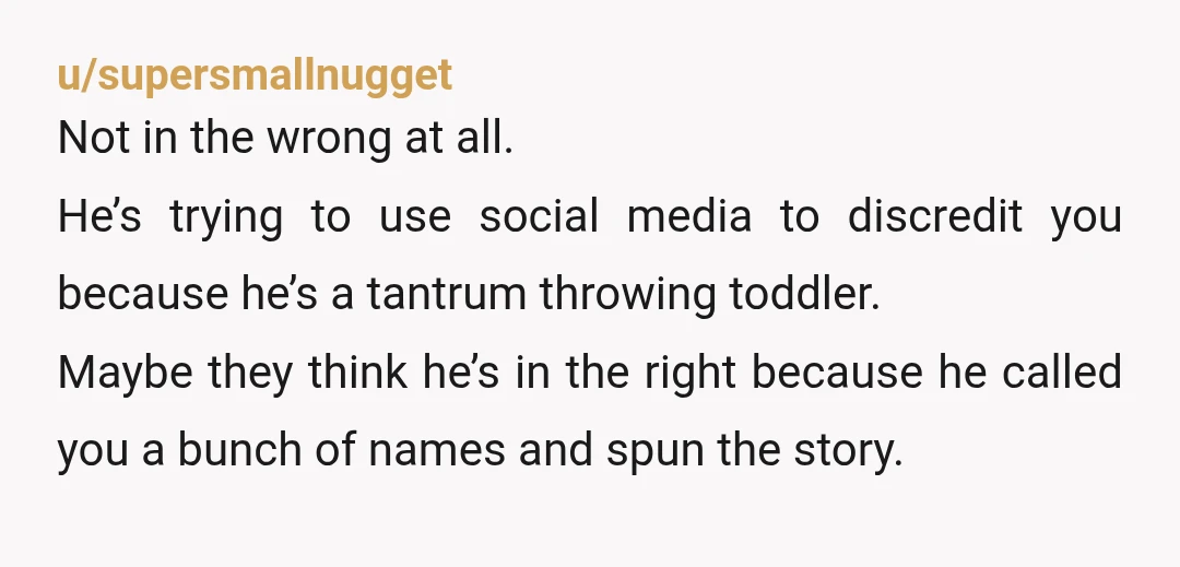 u/supersmallnugget Not in the wrong at all. He’s trying to use social media to discredit you because he’s a tantrum throwing toddler. Maybe they think he’s in the right because...