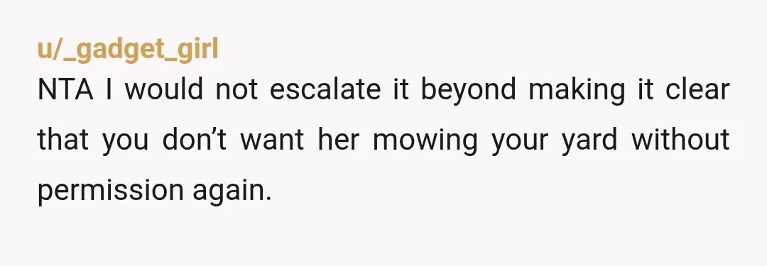 u/_gadget_girl
NTA I would not escalate it beyond making it clear that you don’t want her mowing your yard without permission again.