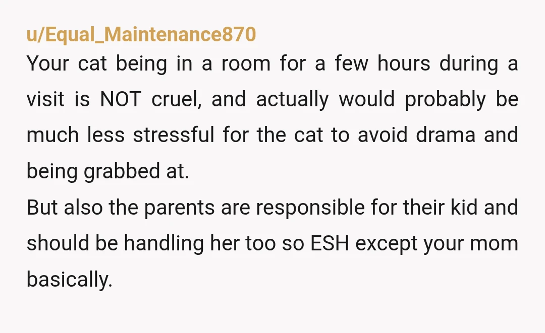 u/Equal_Maintenance870 Your cat being in a room for a few hours during a visit is NOT cruel, and actually would probably be much less stressful for the cat to avoid...