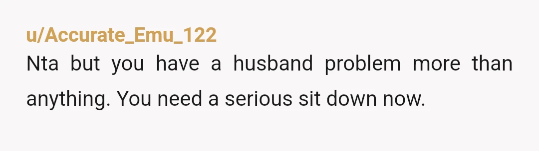 u/Accurate_Emu_122
Nta but you have a husband problem more than anything. You need a serious sit down now.