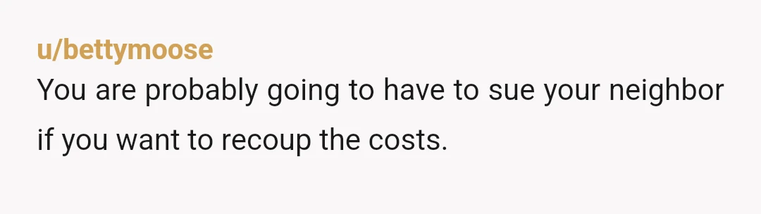 u/bettymoose
You are probably going to have to sue your neighbor if you want to recoup the costs.