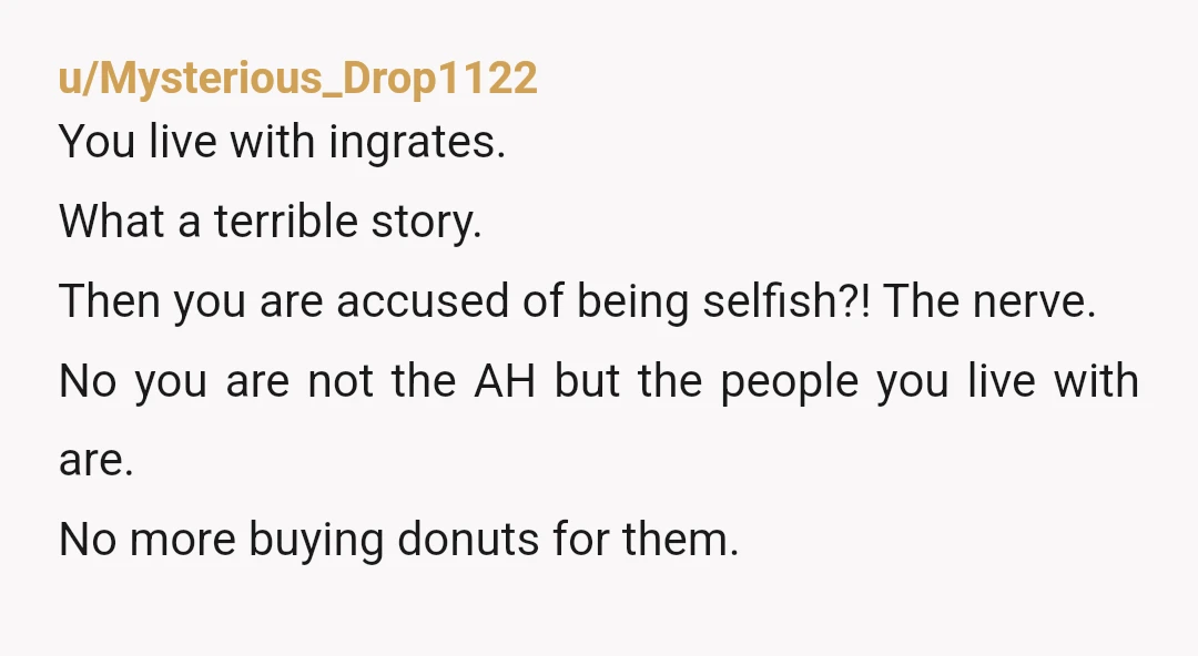 u/Mysterious_Drop1122 You live with ingrates. What a terrible story. Then you are accused of being selfish?! The nerve. No you are not the AH but the people you live with...
