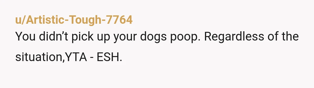u/Artistic-Tough-7764
You didn’t pick up your dogs poop. Regardless of the situation,YTA - ESH.