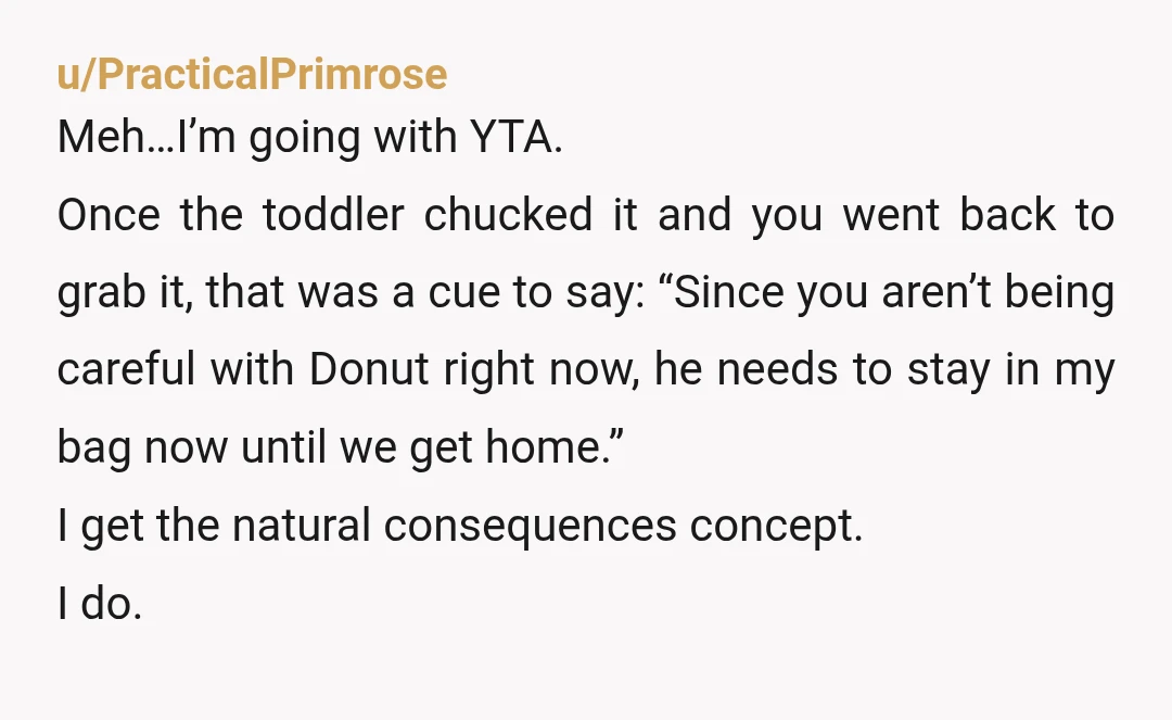 u/PracticalPrimrose Meh…I’m going with YTA. Once the toddler chucked it and you went back to grab it, that was a cue to say: “Since you aren’t being careful with Donut...