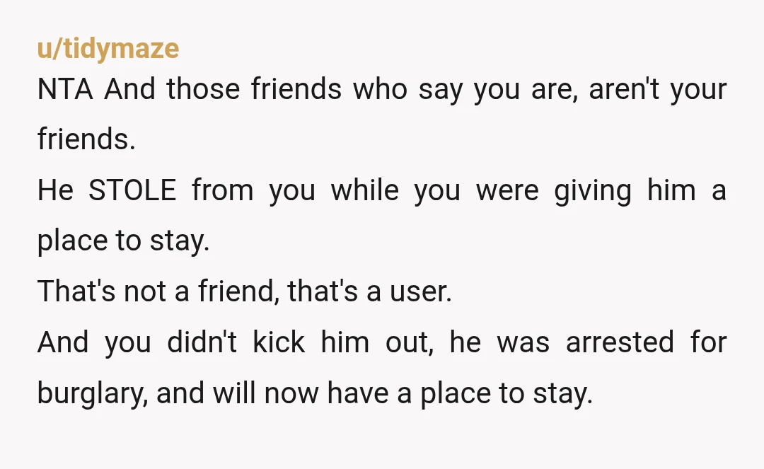 u/tidymaze NTA And those friends who say you are, aren't your friends. He STOLE from you while you were giving him a place to stay. That's not a friend, that's...
