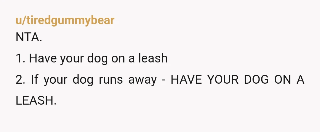 u/tiredgummybear
NTA.
1. Have your dog on a leash
2. If your dog runs away - HAVE YOUR DOG ON A LEASH.