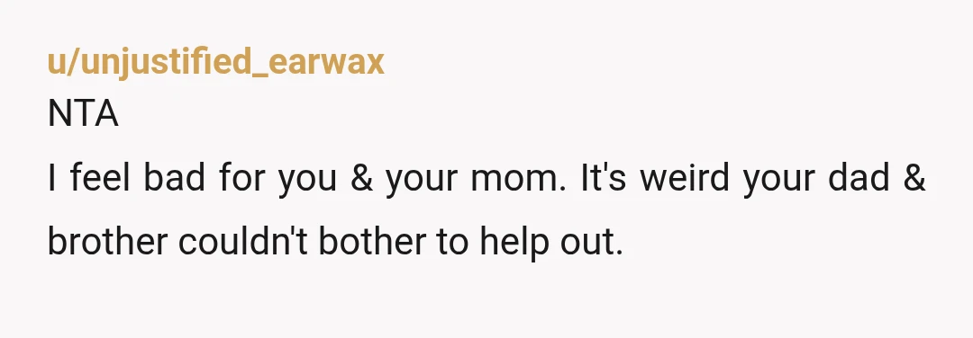 u/unjustified_earwax
NTA
I feel bad for you & your mom. It's weird your dad & brother couldn't bother to help out. 