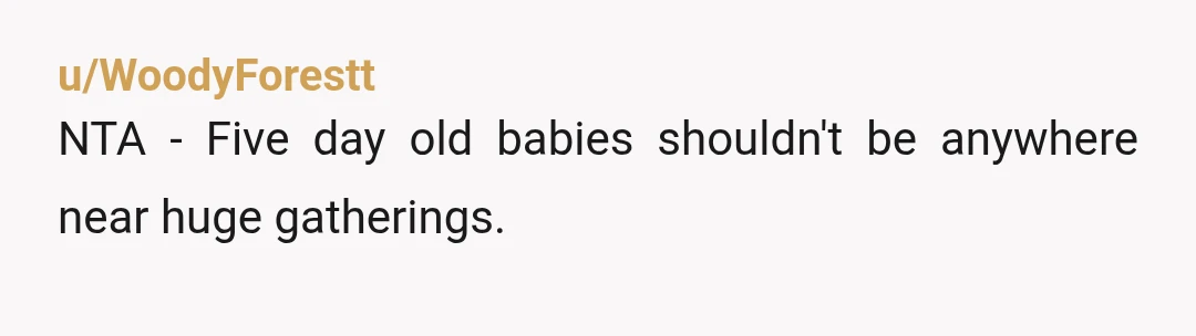 u/WoodyForestt
NTA - Five day old babies shouldn't be anywhere near huge gatherings.